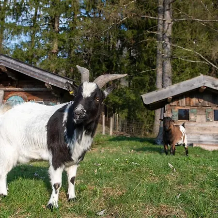 Knoglerhof Inkl. Chiemgaukarte Appartamento Ruhpolding